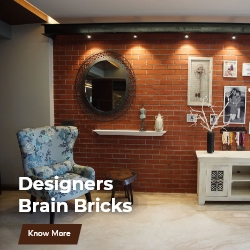 Designers Brain Bricks